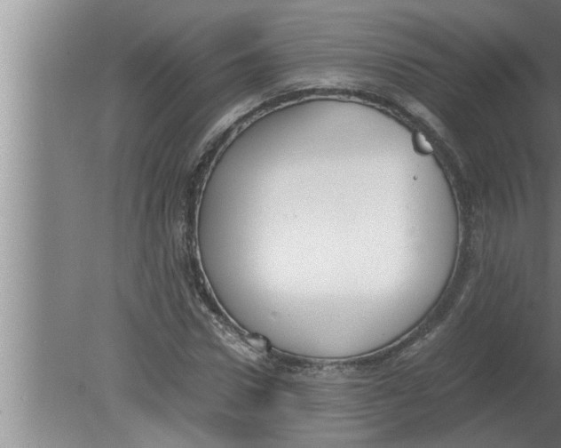 X0000080170922200612302215