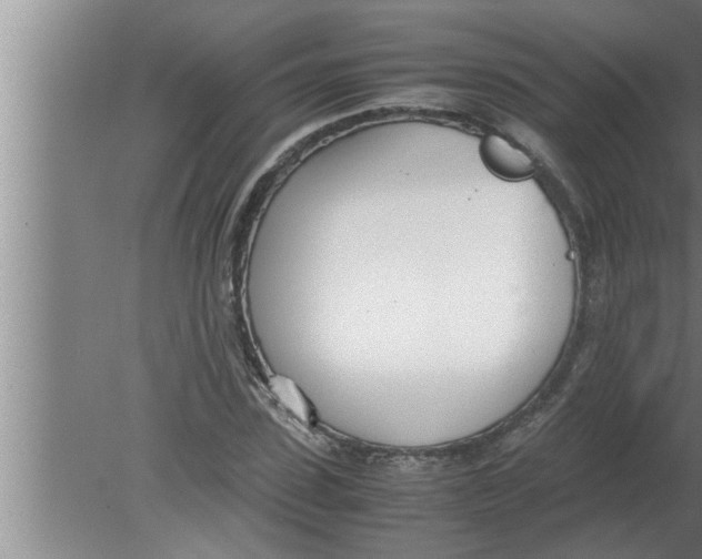 X0000080170923200612302215