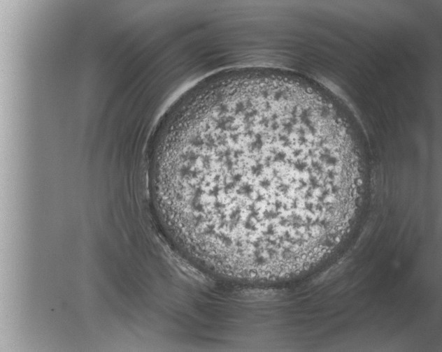 X0000080170925200612302215