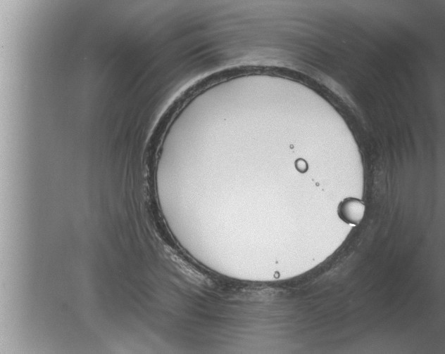 X0000080170926200612302215