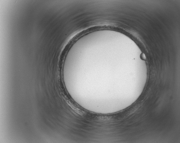 X0000080170927200612302215