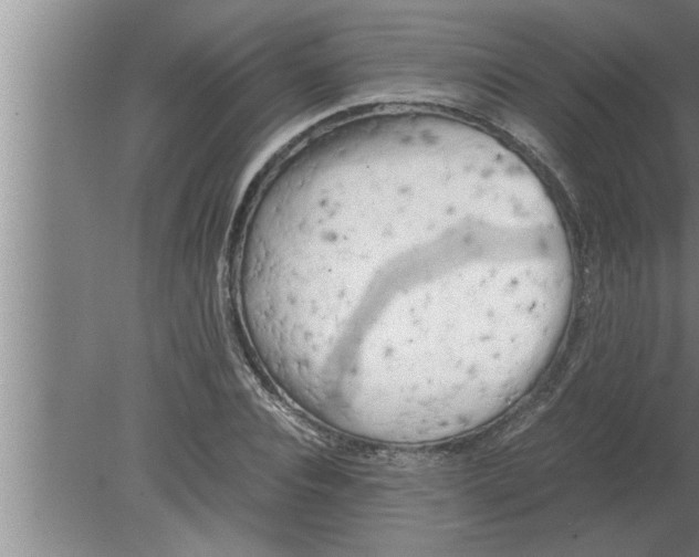 X0000080170928200612302215