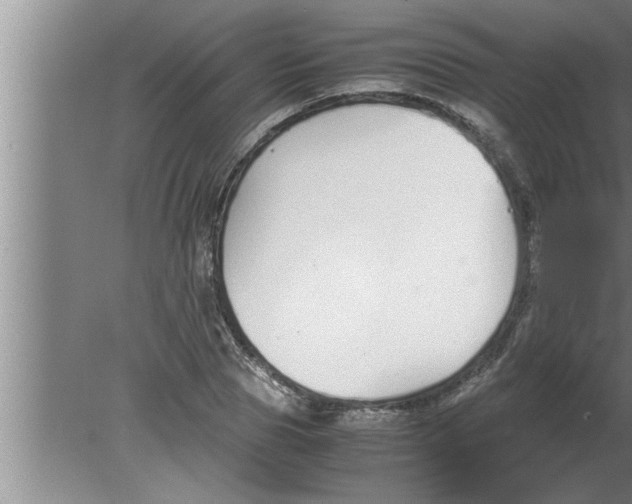 X0000080170929200612302215