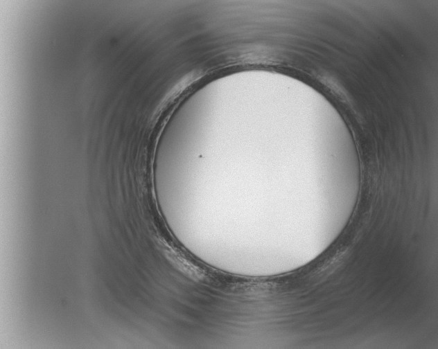 X0000080170930200612302215