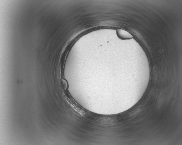 X0000080170931200612302215