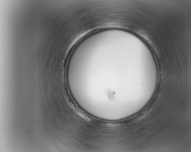 X0000080170933200612302215