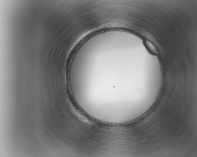 X0000080170934200612302215