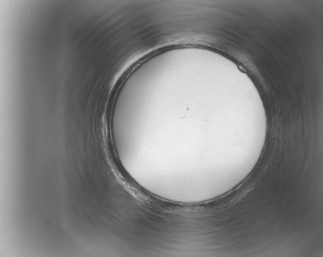 X0000080170936200612302215