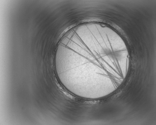 X0000080170937200612302215