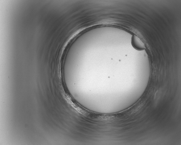 X0000080170939200612302215