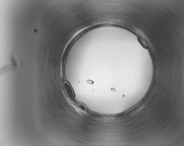 X0000080170940200612302216