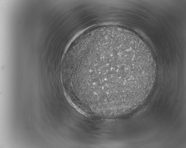 X0000080170941200612302216