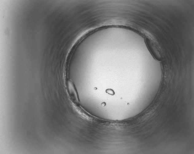 X0000080170942200612302216