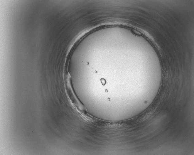 X0000080170943200612302216