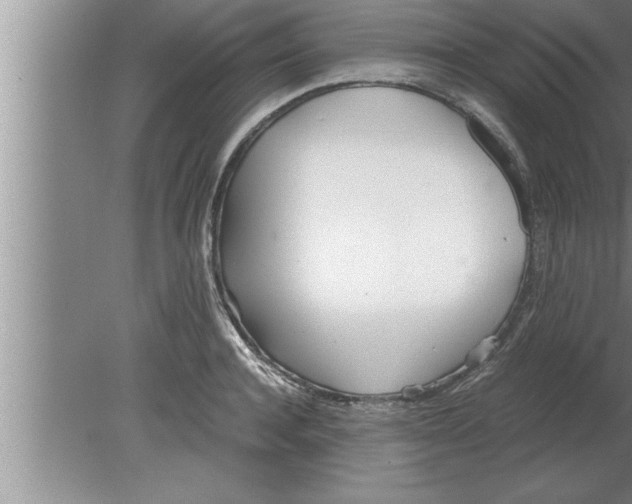 X0000080170944200612302216