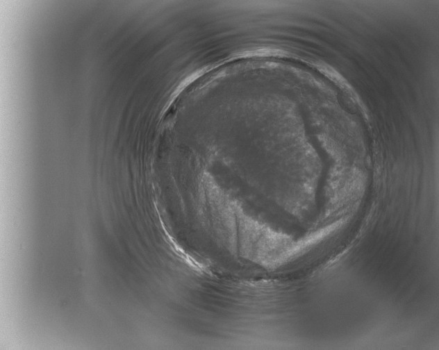 X0000080170945200612302216