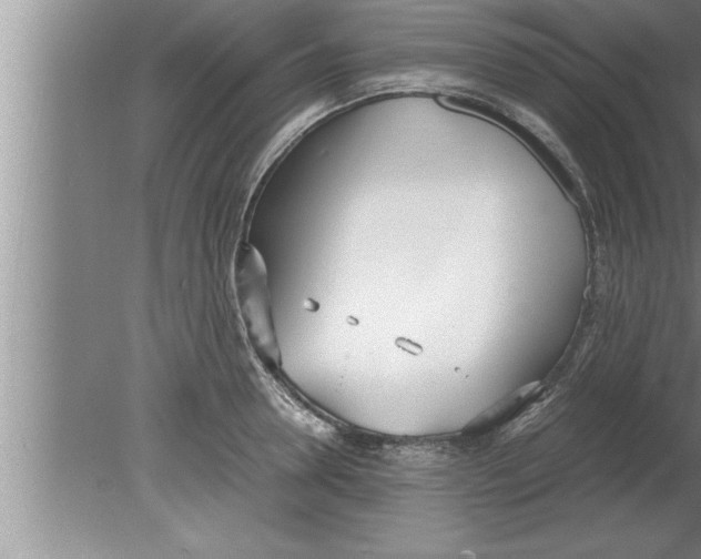 X0000080170946200612302216