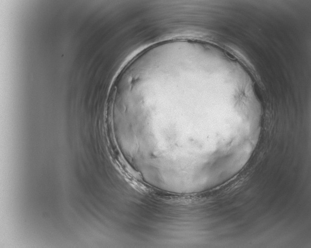 X0000080170948200612302216