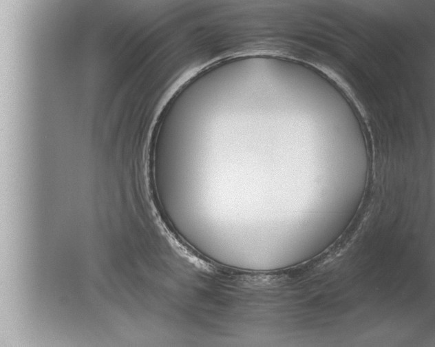 X0000080170949200612302216