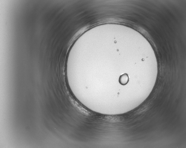 X0000080170954200612302216