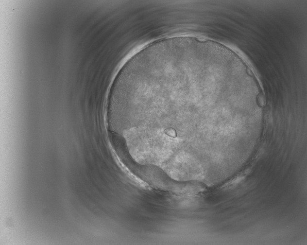 X0000080170957200612302216