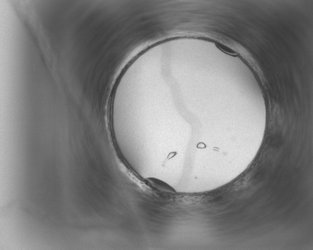 X0000080170958200612302216