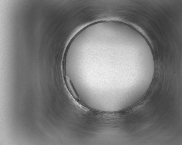 X0000080170959200612302216