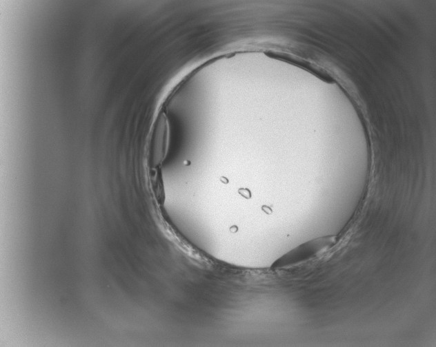 X0000080170960200612302216