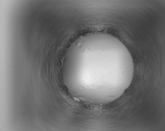 X0000080170961200612302215