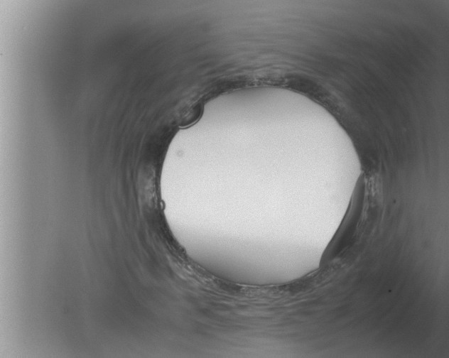 X0000080170963200612302215