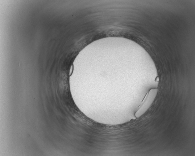 X0000080170964200612302215