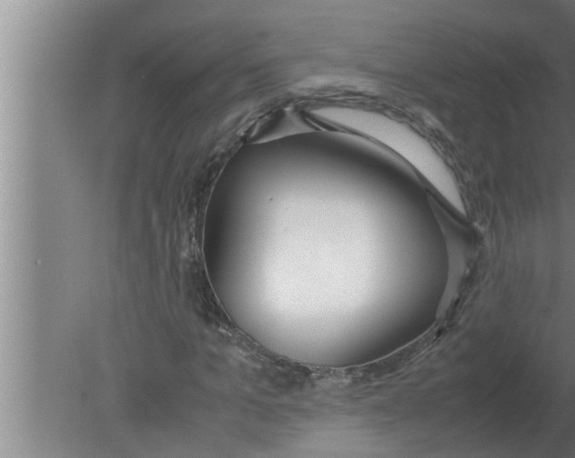 X0000080170965200612302215