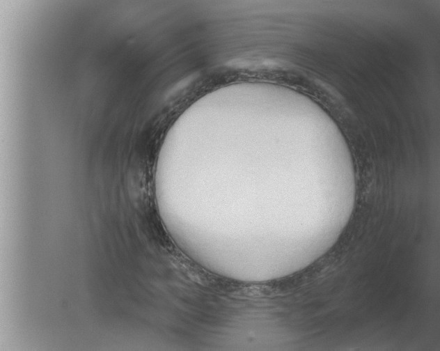 X0000080170966200612302215