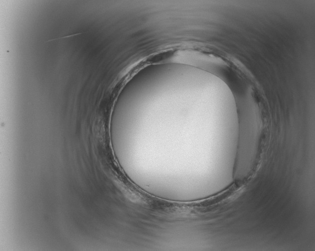 X0000080170969200612302215