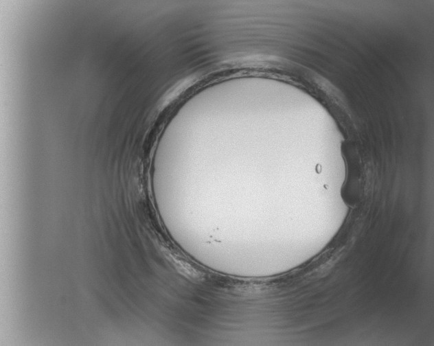 X0000080170970200612302215