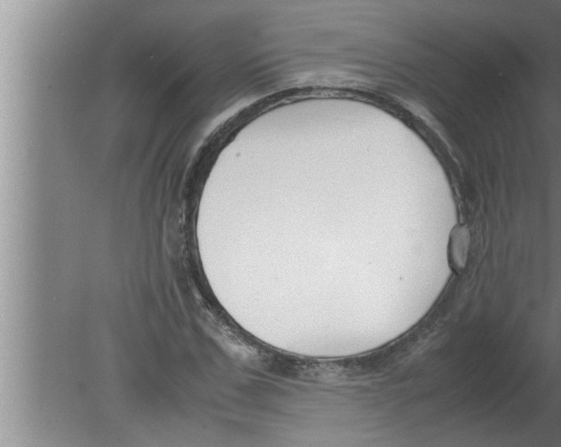 X0000080170971200612302215