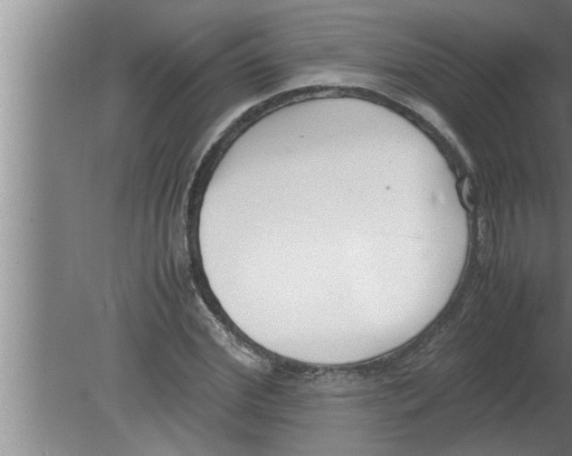 X0000080170972200612302215