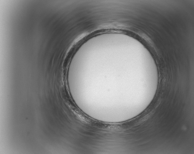 X0000080170974200612302215