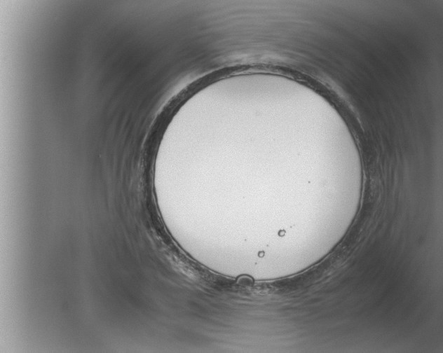 X0000080170975200612302215