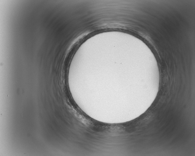 X0000080170979200612302215