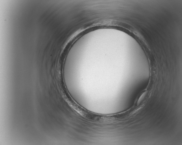 X0000080170981200612302215