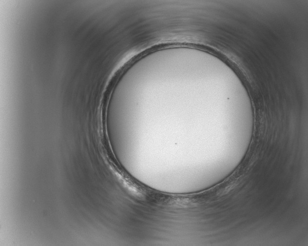 X0000080170982200612302215