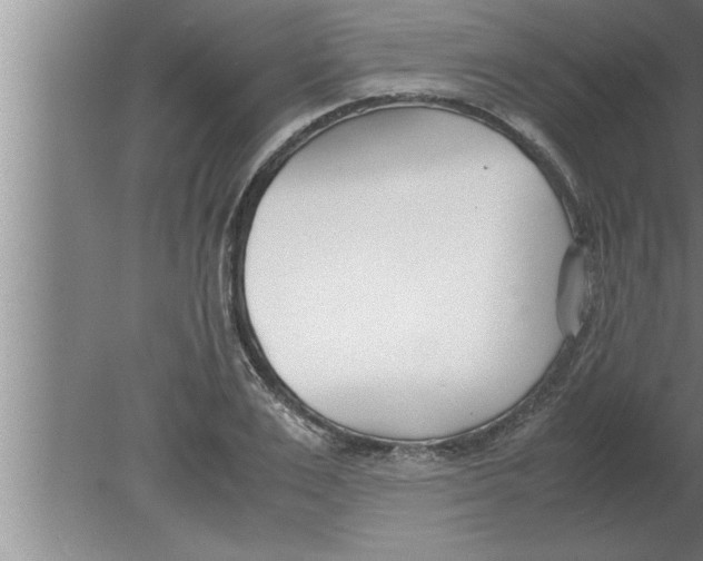 X0000080170983200612302215