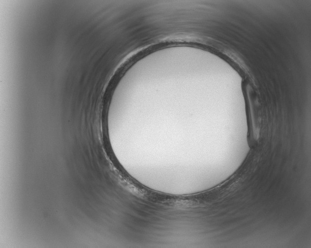 X0000080170984200612302215