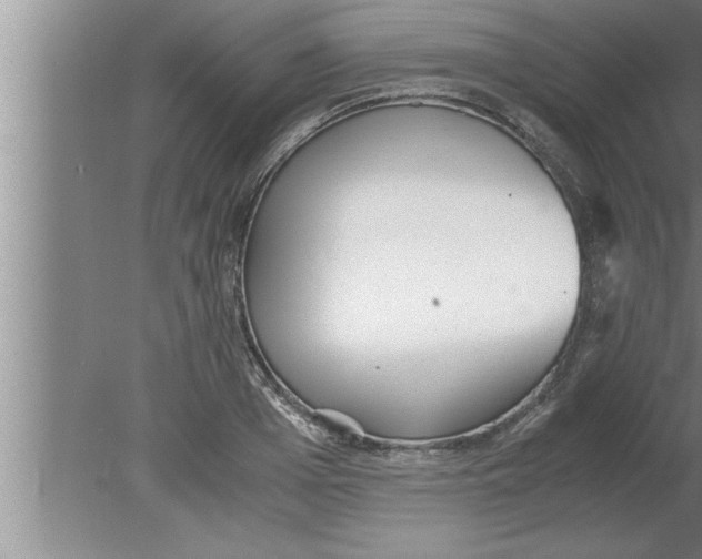 X0000080170985200612302215