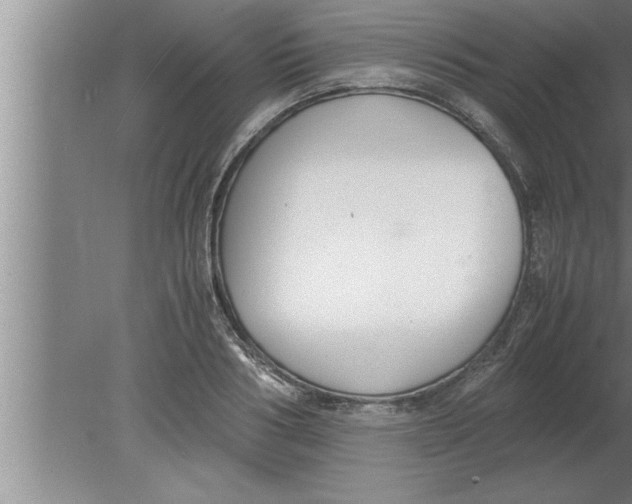 X0000080170986200612302215