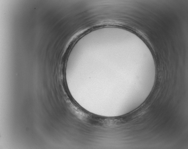 X0000080170987200612302215