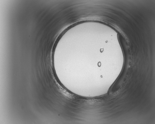 X0000080170988200612302215