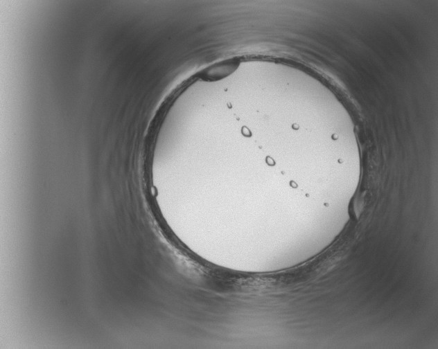 X0000080170991200612302215