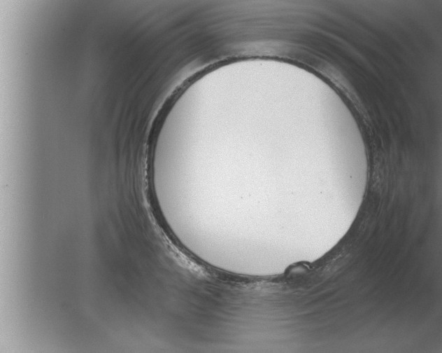 X0000080170992200612302215